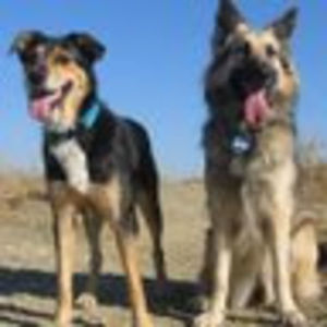 Meet your Posher, Jillian